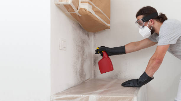 Professional Mold Cleanup technician working in Argyle, TX